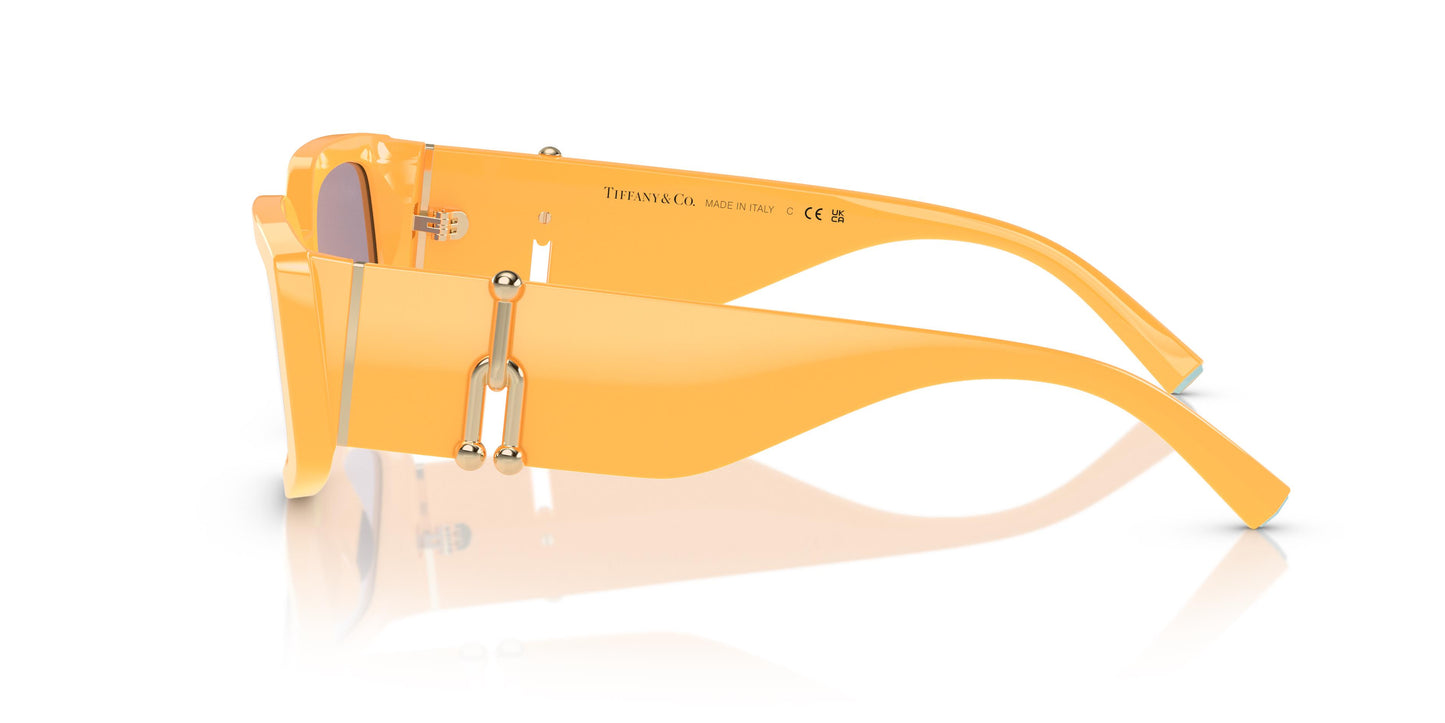 Tiffany & Co. TF4208U 83842S 54