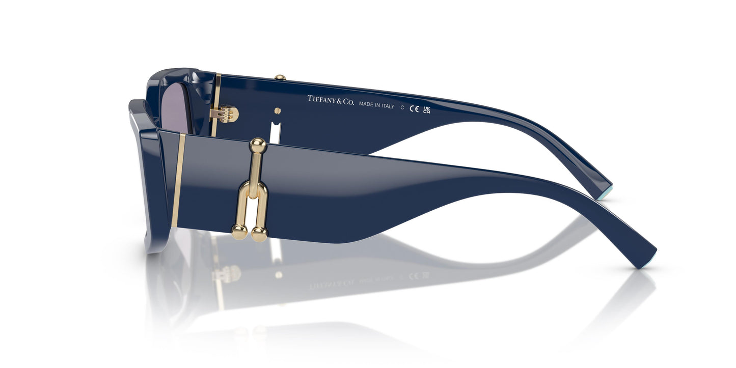 Tiffany & Co. TF4208U 83852S 54