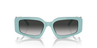 Tiffany & Co. TF4208U 83883C 54