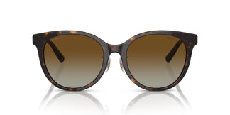 Tiffany & Co. TF4209D 8015T5 54