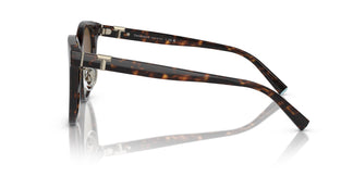 Tiffany & Co. TF4209D 8015T5 54