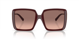 Tiffany & Co. TF4212U 838913 55