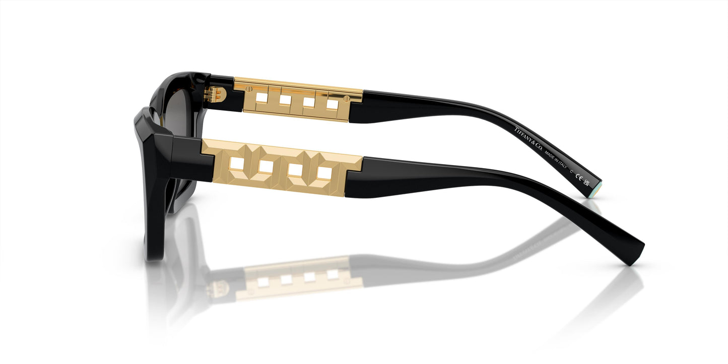 Tiffany & Co. TF4213 8001S4 54