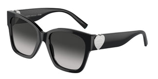 Tiffany & Co. TF4216 80013C 54