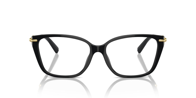 Tiffany TF2248K 8402 53