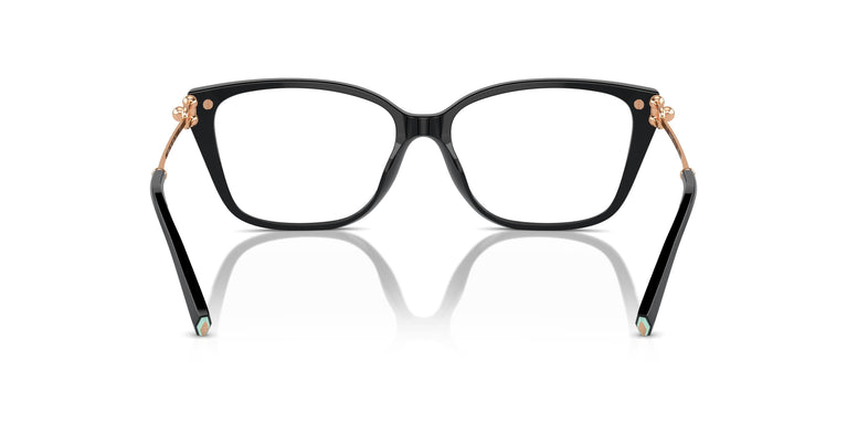 Tiffany TF2248K 8403 55