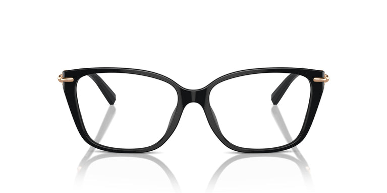 Tiffany TF2248K 8403 55