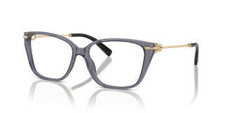 Tiffany TF2248K 8405 55