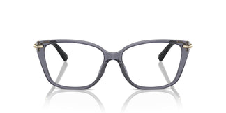 Tiffany TF2248K 8405 55