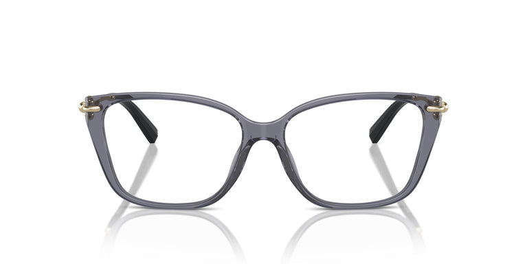 Tiffany TF2248K 8405 53
