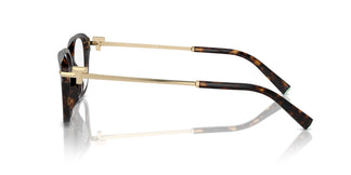 Tiffany TF2253D 8015 54