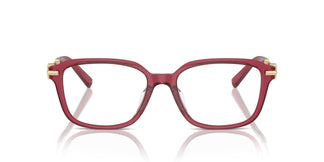 Tiffany TF2253D 8419 54