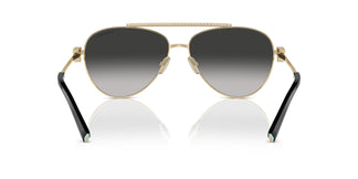 Tiffany TF3101B 60213C 59