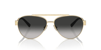 Tiffany TF3101B 60213C 59