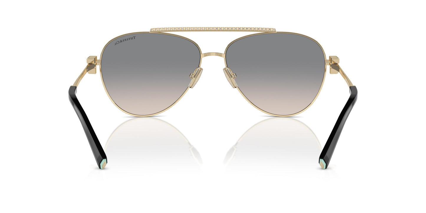 Tiffany TF3101B 61791U 59