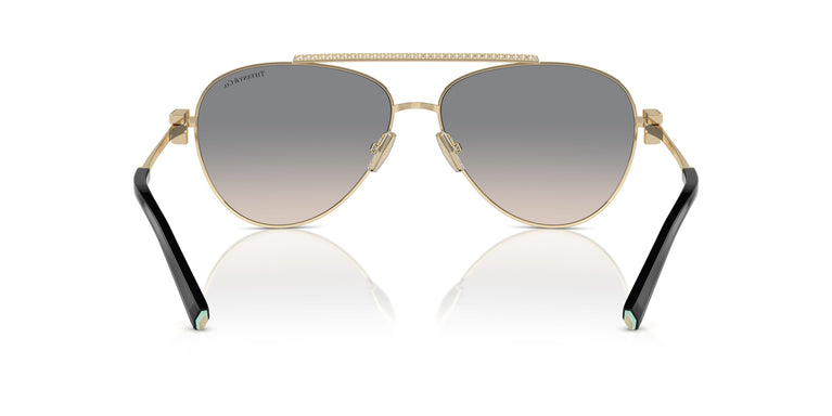 Tiffany TF3101B 61791U 59