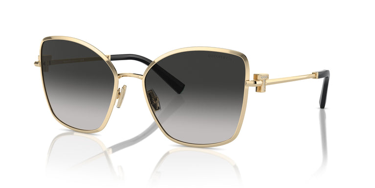 Tiffany TF3102B 60213C 58