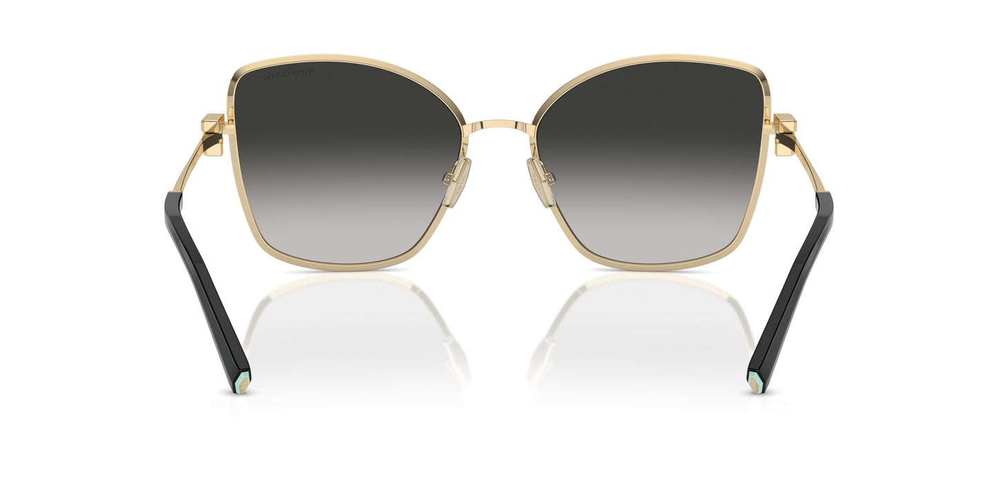Tiffany TF3102B 60213C 58