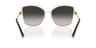 Tiffany TF3102B 60213C 58