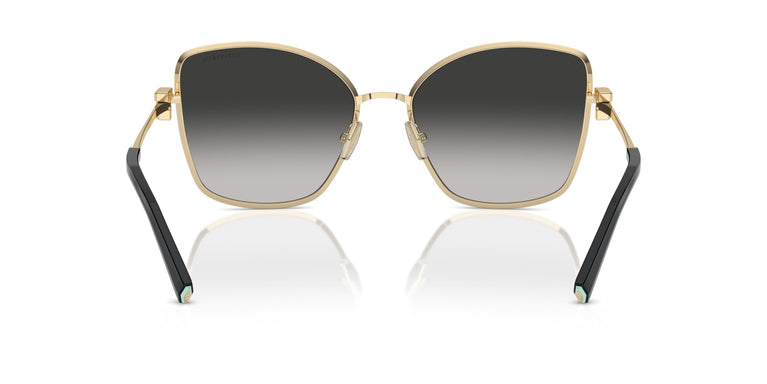 Tiffany TF3102B 60213C 58