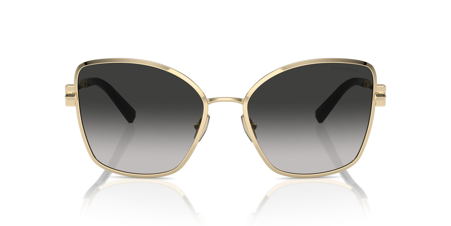 Tiffany TF3102B 60213C 58