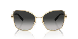 Tiffany TF3102B 60213C 58