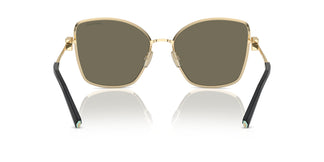Tiffany TF3102B 614903 58