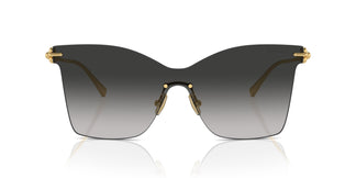 Tiffany TF3103K 62113C 0