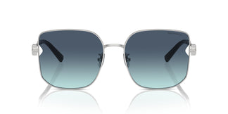 Tiffany TF3105D 60019S 58