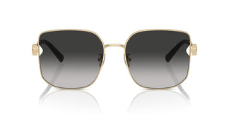 Tiffany TF3105D 6021S4 58
