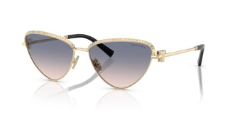 Tiffany TF3107KB 622116 59