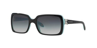 Tiffany TF4047B 80553C 55