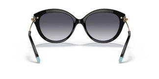 Tiffany TF4187 80013C 55