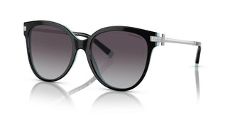 Tiffany TF4193B 80553C 55
