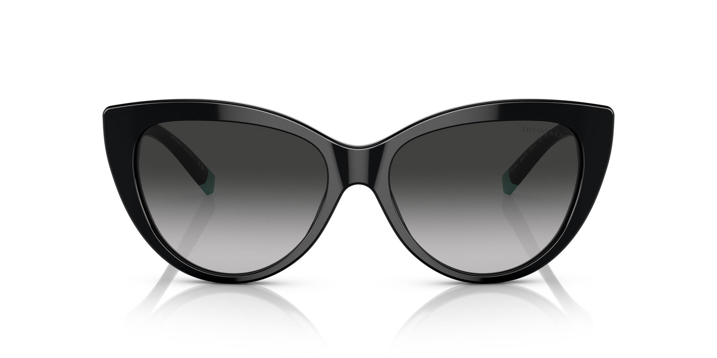 Tiffany TF4196 80013C 56