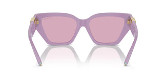 Tiffany TF4218 840776 55