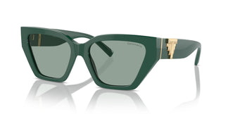 Tiffany TF4218 840882 55