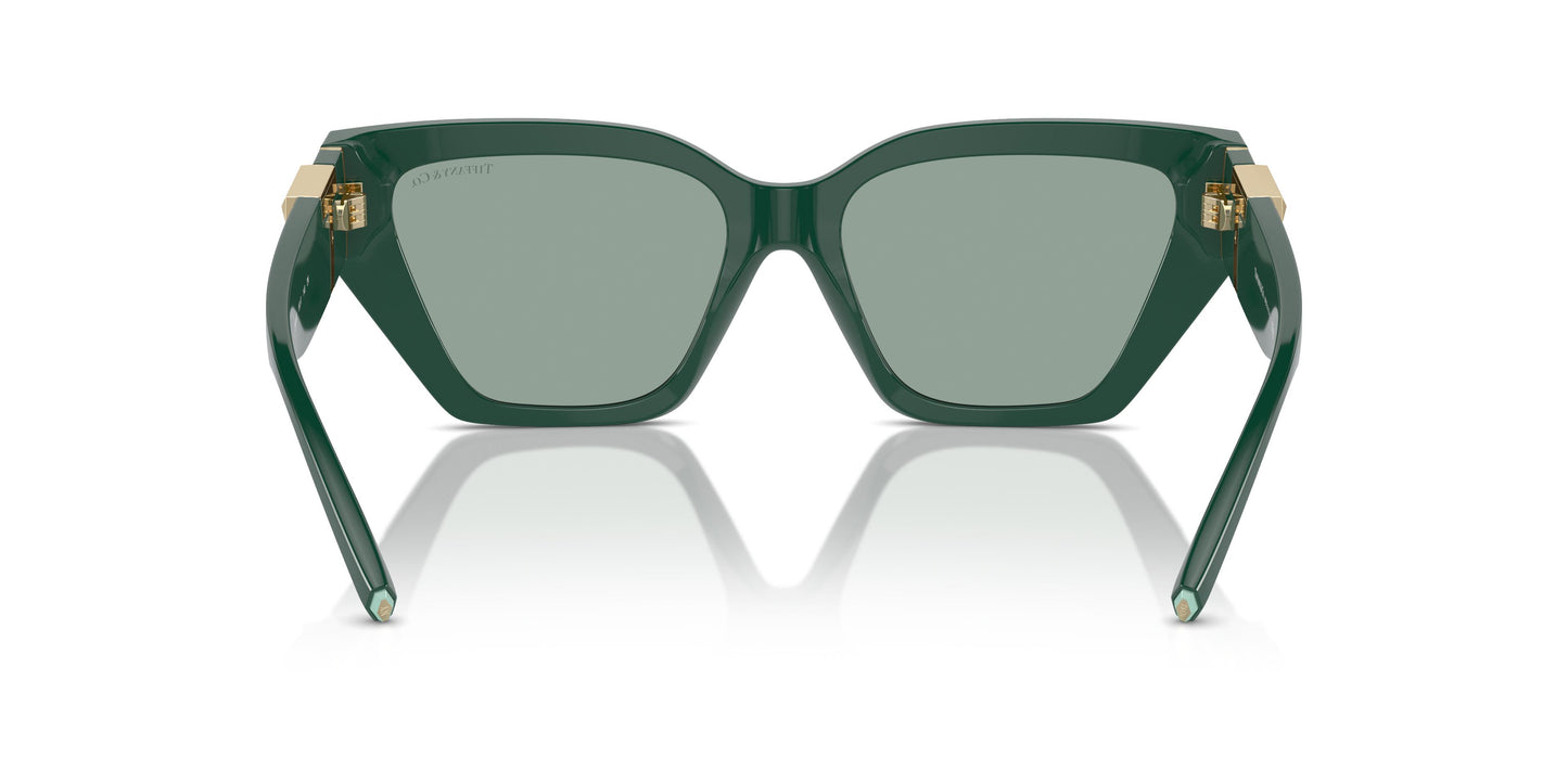 Tiffany TF4218 840882 55