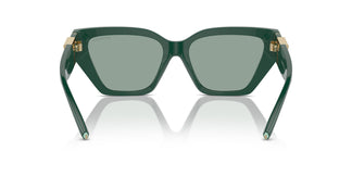 Tiffany TF4218 840882 55