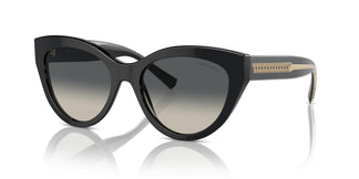Tiffany TF4220 800171 54