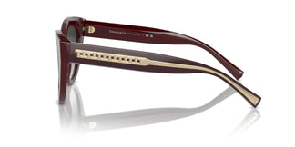 Tiffany TF4220 83893C 54