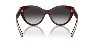 Tiffany TF4220 83893C 54