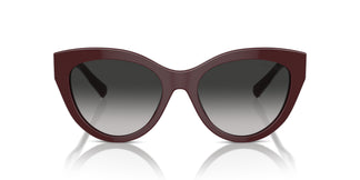 Tiffany TF4220 83893C 54