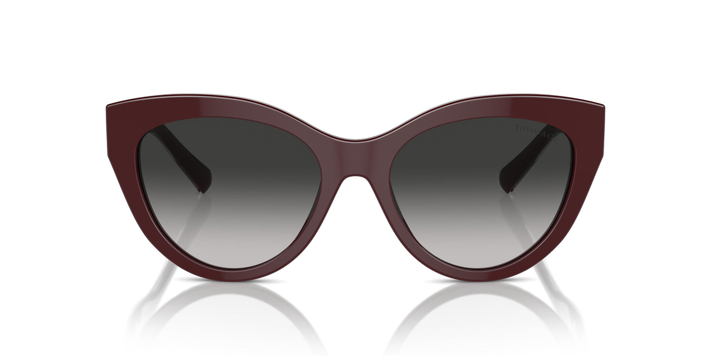 Tiffany TF4220 83893C 54