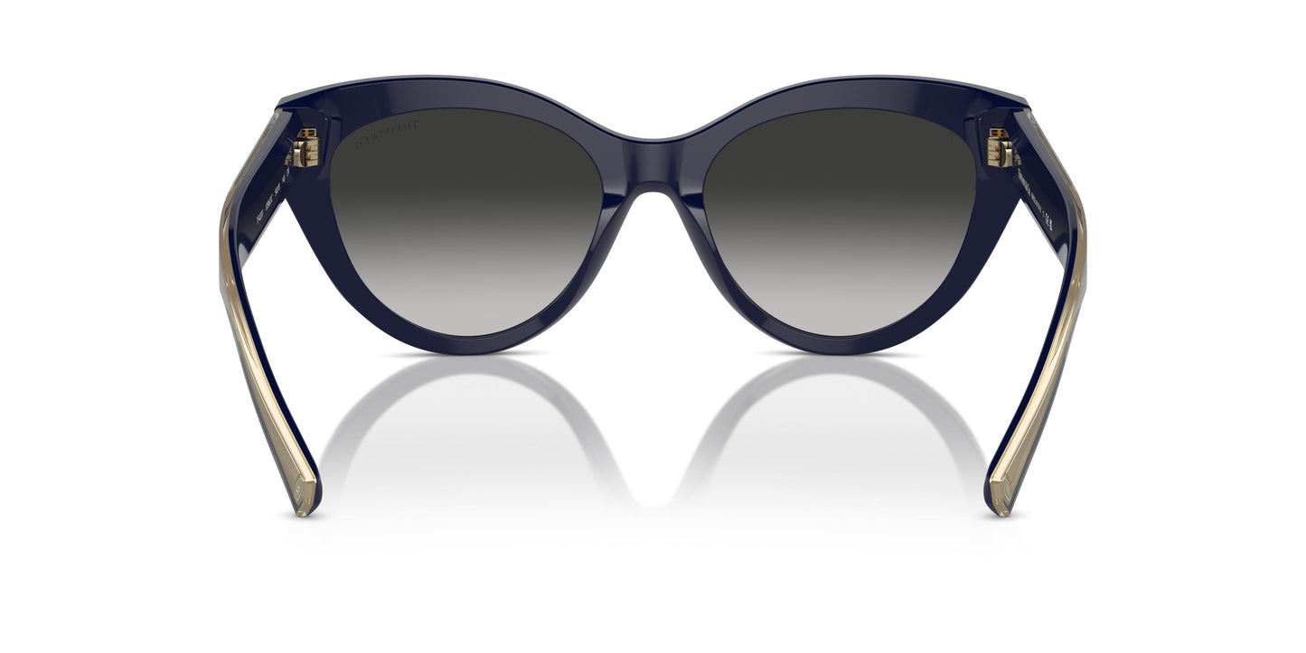 Tiffany TF4220 83963C 54