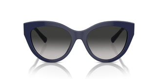 Tiffany TF4220 83963C 54