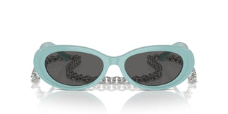 Tiffany TF4221 8388S4 54