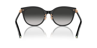 Tiffany TF4223D 80013C 54