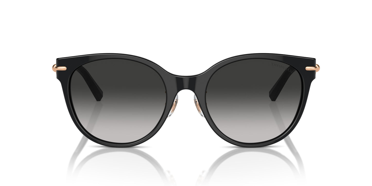 Tiffany TF4223D 80013C 54