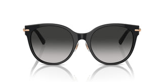 Tiffany TF4223D 80013C 54
